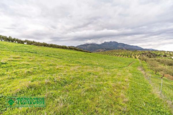 Terreno en alto de Guaro