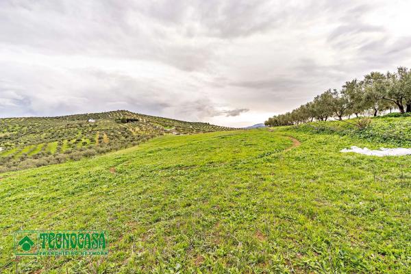 Terreno en alto de Guaro