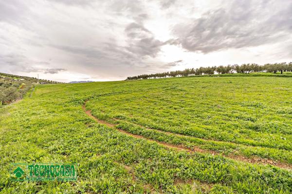Terreno en alto de Guaro
