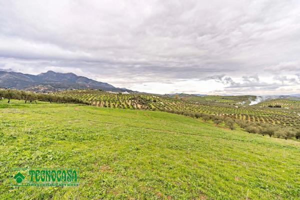 Terreno en alto de Guaro