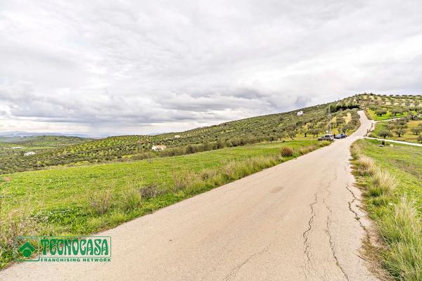 Terreno en alto de Guaro
