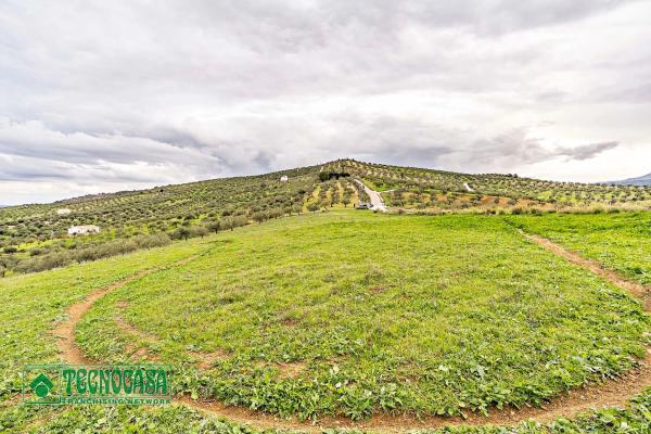 Terreno en alto de Guaro