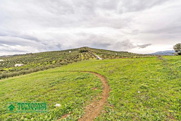 Terreno en alto de Guaro