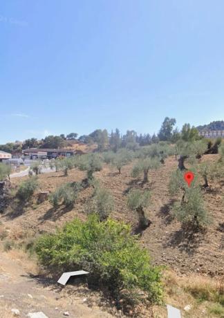 Terreno en Poligono 1, 221