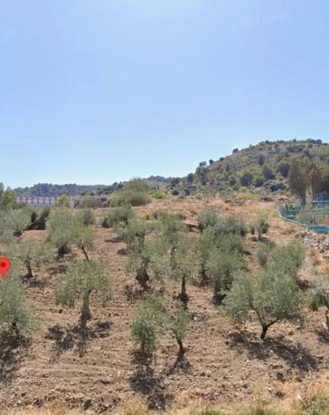 Terreno en Poligono 1, 221