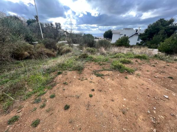 Terreno en Lugar Urbanizacion Buenavista, 106