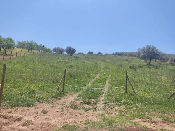 Terreno en arroyo carniceros, 1