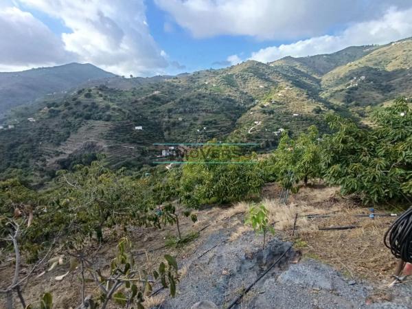 Terreno en Sayalonga