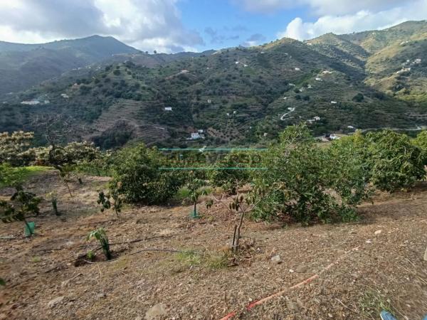 Terreno en Sayalonga