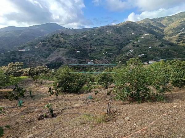 Terreno en Sayalonga