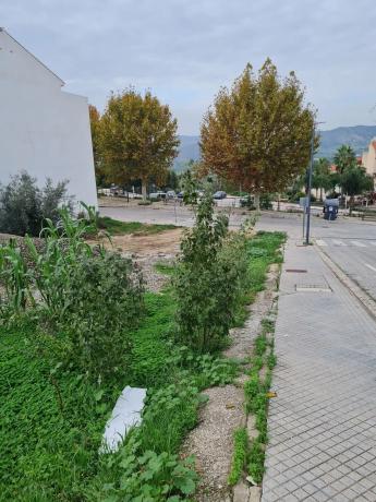 Terreno en calle Hércules, 206