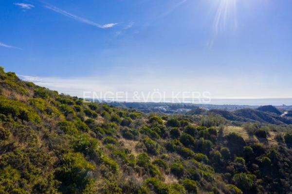 Terreno en carril Castaño Santo