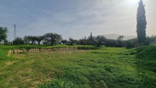 Terreno en El Cigarral - Dehesa - Borrajo