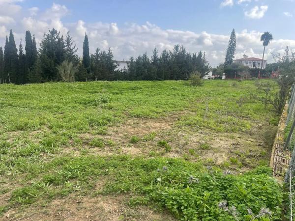 Terreno en El Romeral-Peñón de Zapata
