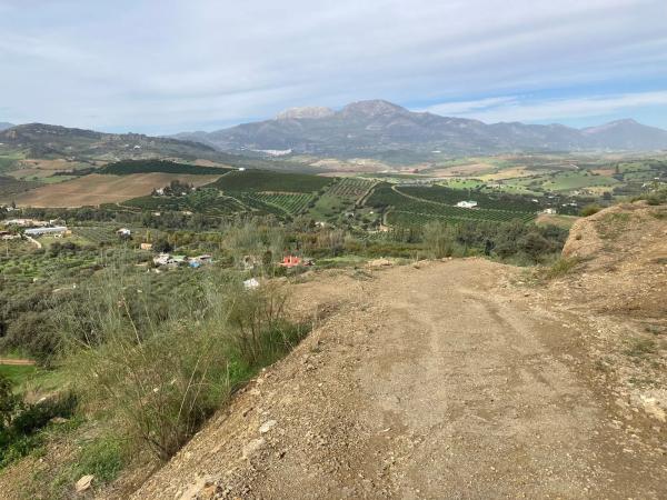 Terreno en Partida Llano del Comisario s/n Sn