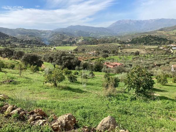 Terreno en Partida Llano del Comisario s/n Sn