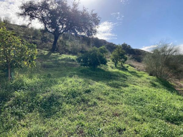 Terreno en Partida Llano del Comisario s/n Sn