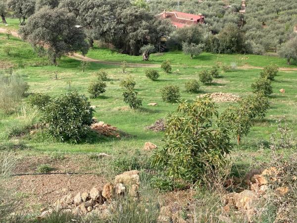 Terreno en Partida Llano del Comisario s/n Sn