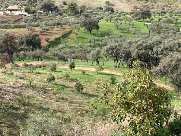 Terreno en Partida Llano del Comisario s/n Sn