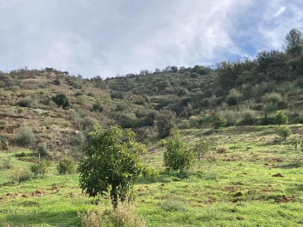 Terreno en Partida Llano del Comisario s/n Sn