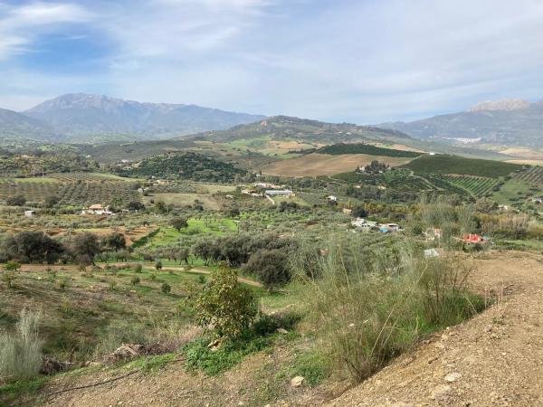 Terreno en Partida Llano del Comisario s/n Sn