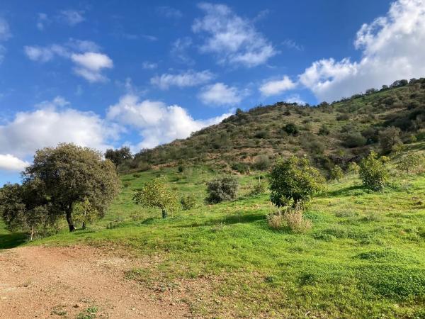Terreno en Partida Llano del Comisario s/n Sn