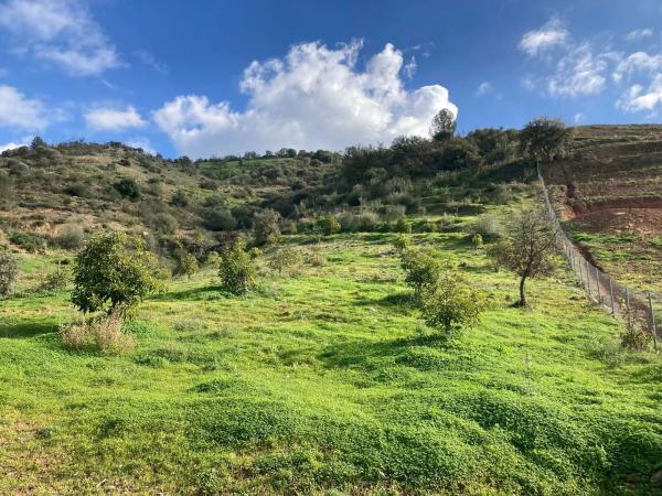 Terreno en Partida Llano del Comisario s/n Sn