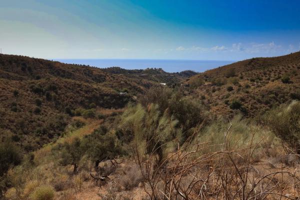 Terreno en carretera Macharaviaya, km 2