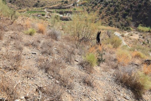 Terreno en carretera Macharaviaya, km 2
