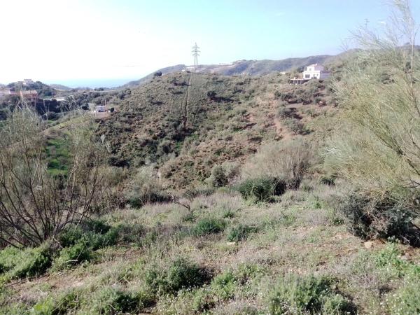 Terreno en carretera Macharaviaya, km 2
