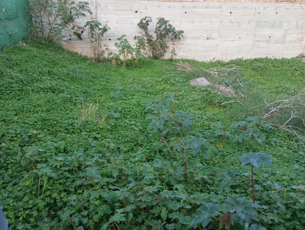 Terreno en calle Fuerteventura