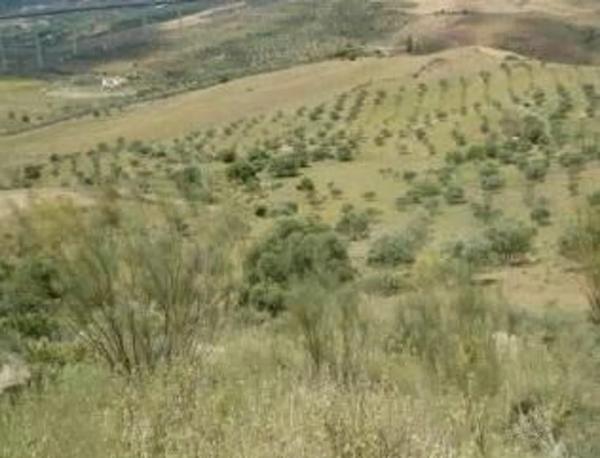 Terreno en plaza Fuente Arriba