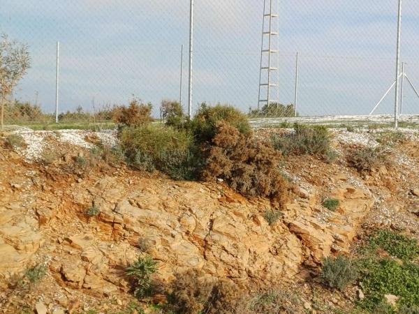 Terreno en Moclinejo