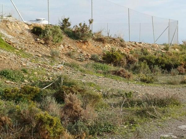 Terreno en Moclinejo