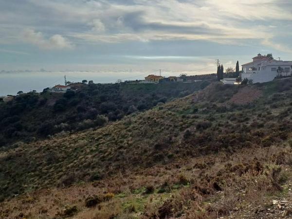 Terreno en Moclinejo