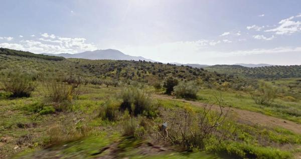 Terreno en Cortijo Vilches