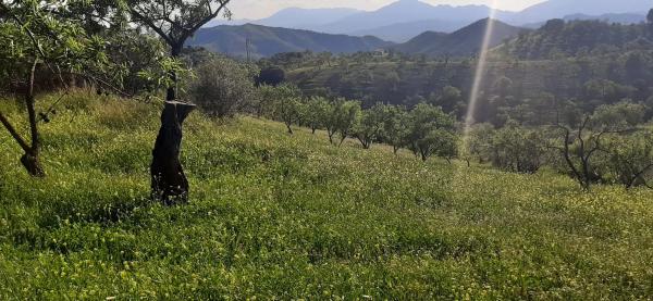 Terreno en Majada Vieja s/n