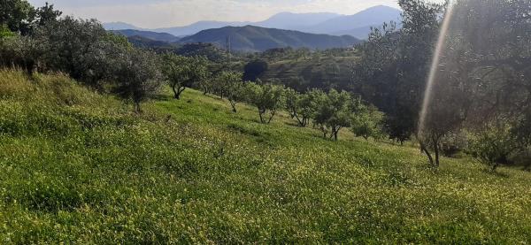 Terreno en Majada Vieja s/n