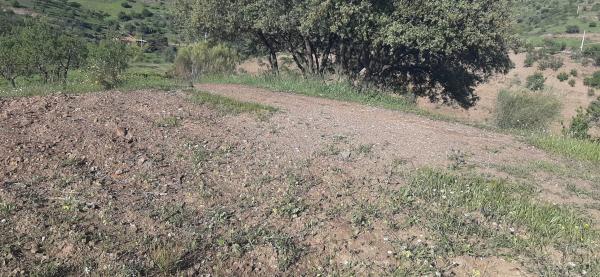Terreno en Majada Vieja s/n