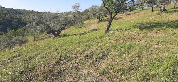 Terreno en Majada Vieja s/n