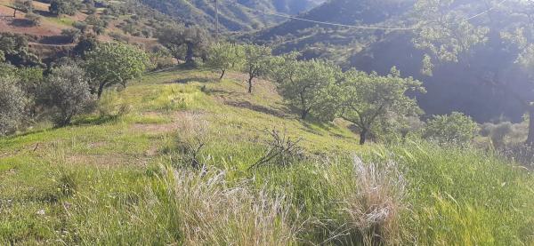 Terreno en Majada Vieja s/n