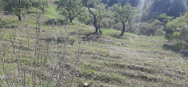 Terreno en Majada Vieja s/n