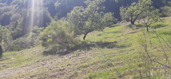 Terreno en Majada Vieja s/n