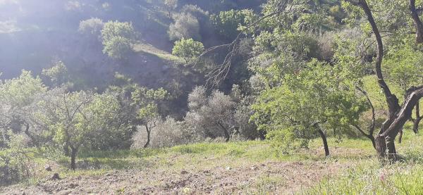 Terreno en Majada Vieja s/n