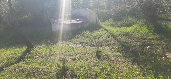 Terreno en Majada Vieja s/n