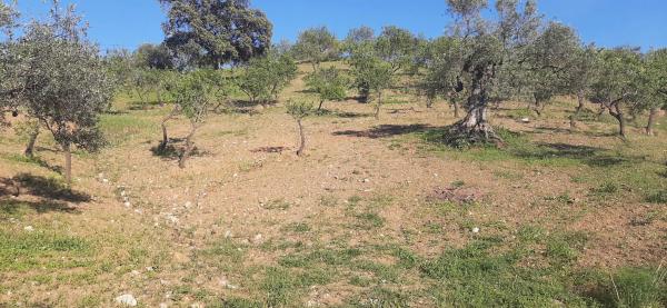 Terreno en Majada Vieja s/n