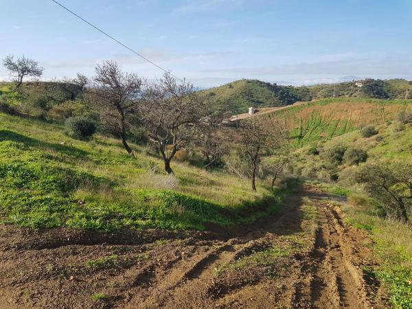 Terreno en Estación