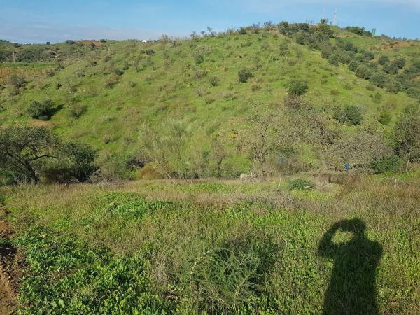 Terreno en Estación