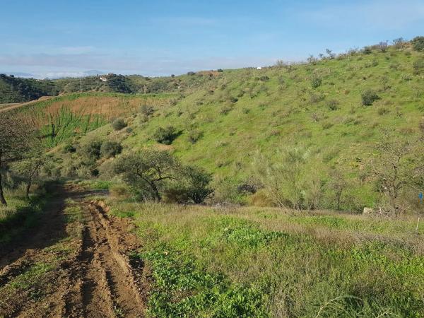 Terreno en Estación