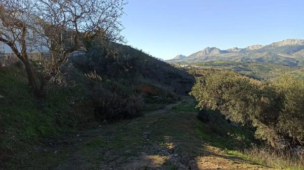 Terreno en camino de Solano